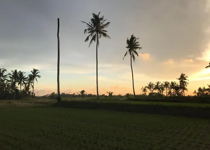 Sunset Pandawa Séjour chez l'habitant