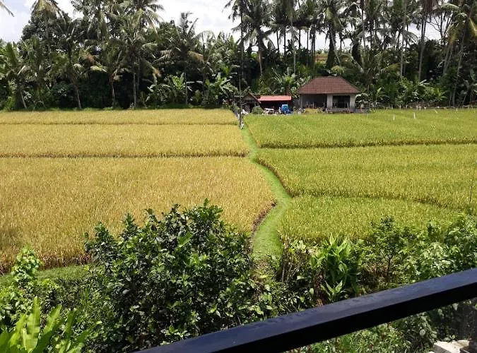 Séjour chez l'habitant Sunset Pandawa Ubud