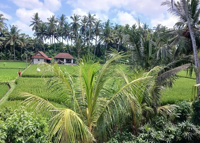 Séjour chez l'habitant Sunset Pandawa Ubud